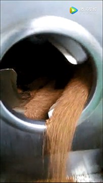 电磁滚筒炒蒲公英茶